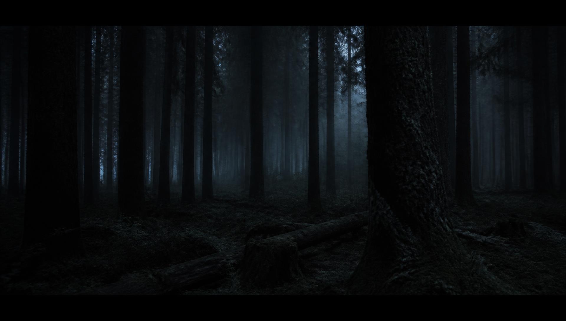 Cinematic still of a misted forest at dusk